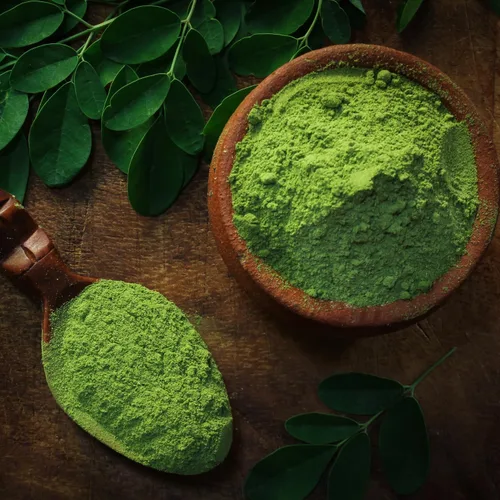 Vista 4 de 100 semillas de moringa para plantar, semillas de plantas vegetales de Moringa Oleifera para jardinería al aire libre