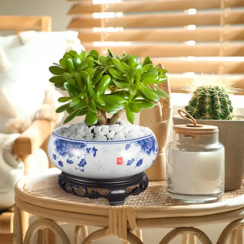 Vista 7 de Yardwe Maceta Lotus con soporte, maceta de cerámica para lirio de agua, narciso, plantas hidropónicas, suculentas, decoración de jardín de oficina