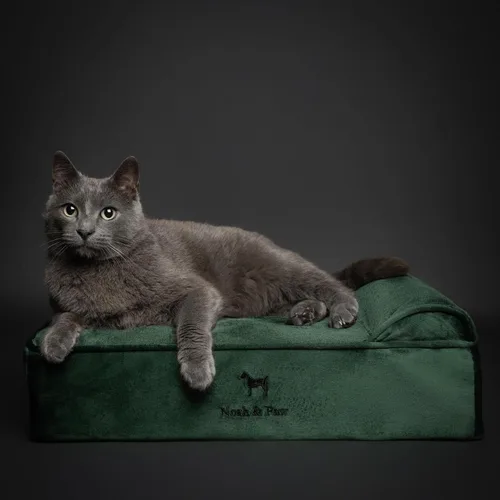 Vista 2 de NOAH & PAW Cama pequeña para perros, 20 x 15 x 6.5 pulgadas, cama para gatos de interior, espuma viscoelástica ortopédica de cáscara de huevo Verde