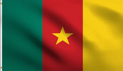 Vista 49 de DMSE - Bandera nacional beninesa beninesa de la República de África Occidental, 2 x 3 pies, 100 % poliéster, 100 % poliéster, resistente a los rayos
