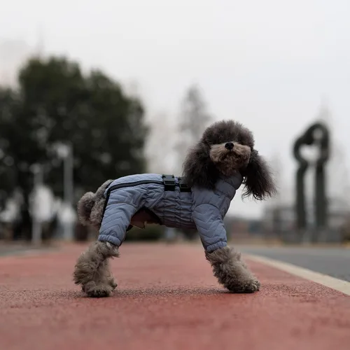 Vista 8 de Abrigo cálido para perros de doble capa, chaleco para perros, 4 patas cubiertas, resistente al viento, impermeable, reflectante, gris XS - L