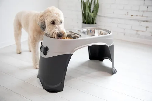 Vista 3 de Petmate Easy Reach Pet Diner - Cuencos elevados para perros, 2 tamaños, 2 colores pulidos, negro/marrón perla, grande (23479), fabricados en Estados