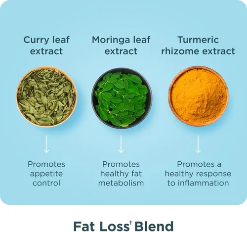 Vista 10 de Ancient Nutrition Multi Collagen Advanced Lean con probióticos, péptidos de colágeno hidrolizados que apoyan la pérdida de peso saludable