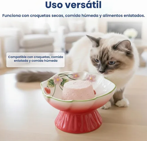 Vista 5 de Tazón elevado de comida para gatos con flores de fresa por PawsPik Rojo