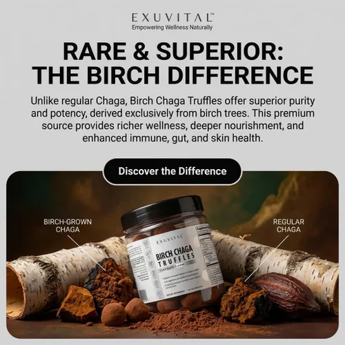 Vista 5 de Trufas de abedul Chaga, Apoyo diario al bienestar, Bocadillos de superalimentos naturales, Apoyo inmunológico, Salud de la piel, Salud intestinal