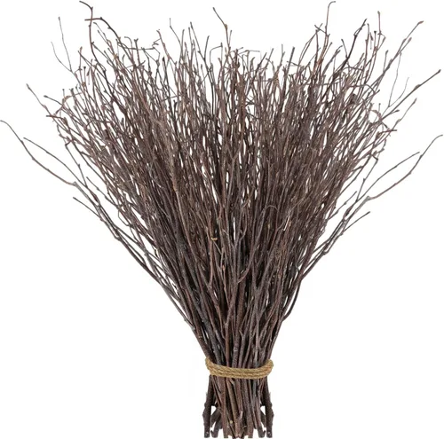 Vista 8 de 30 ramitas de abedul secas reales – 17 pulgadas decorativas 100% ramas de abedul naturales para jarrones de Pascua, ramas de sauce rizadas