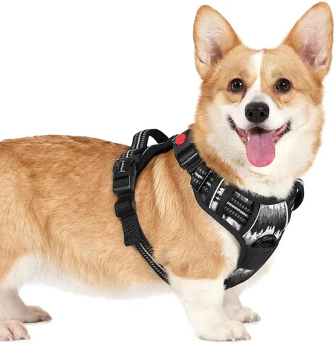 Vista 73 de Rabbitgoo - Arnés para perro de tamaño pequeño, arnés para mascotas sin tirones con 3 hebillas, chaleco acolchado suave ajustable con mango