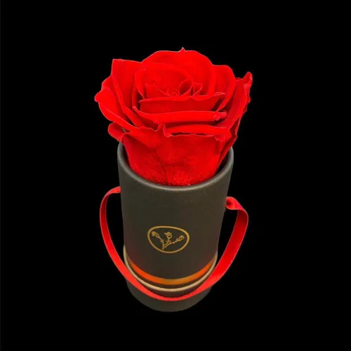 Vista 4 de Rosas preservadas auténticas 100% naturales, flores colombianas preservadas hechas a mano con aroma a rosa natural, perfectas para San Valentín
