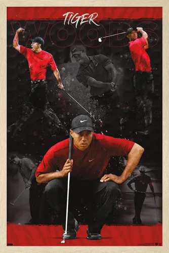 Vista 7 de Trends International Tiger Woods - Póster de pared de bosquejo, 14.725 x 22.375 pulgadas, versión enmarcada de madera de granero