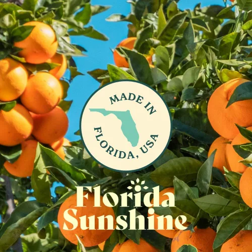 Vista 9 de Florida Sunshine Quercetina liposomal - 120 cápsulas (250 mg) Apoyo inmunológico, antioxidante, antiinflamatorio, alivio de la alergia, salud