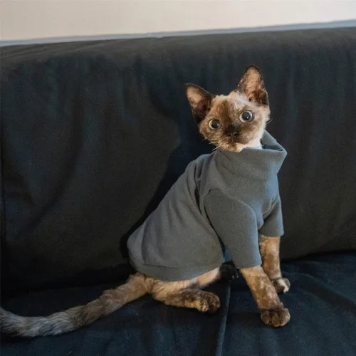Vista 5 de Ropa de gatos sin pelo, camiseta de algodón, chaleco transpirable para primavera y otoño, ropa de gato con cuello alto para Sphynx, Cornish Rex, Gris