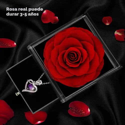 Vista 3 de Forever Rose - Caja de regalo con collar – Rosa eterna real con collar de plata de ley 925 en el interior, flor de rosa real encantada para el día