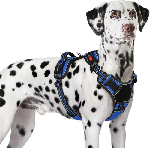 Vista 23 de Eagloo Arnés para perro de tamaño pequeño, fácil de llevar con 3 hebillas, arnés ajustable sin tirones para mascotas con sistema MOLLE, chaleco