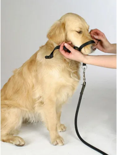 Vista 7 de BARKELSS - Collar para cabeza de perro, ajustable acolchado para dejar de tirar, control suave en los paseos, incluye 1 correa y guía