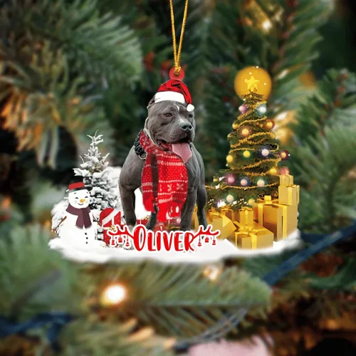 Vista 50 de NAZENTI Adorno personalizado de gato abisinio con árbol de pino, adorno de Navidad personalizado para perros amantes de las mascotas, colgante