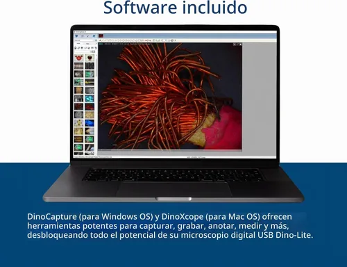 Vista 5 de Dino-Lite microscopio digital de mano, aumento de 10x-220x, resolución verdadera de 0.3 MP/1.3 MP/5.0 MP, Windows/Mac/iOS/Android, incluye software