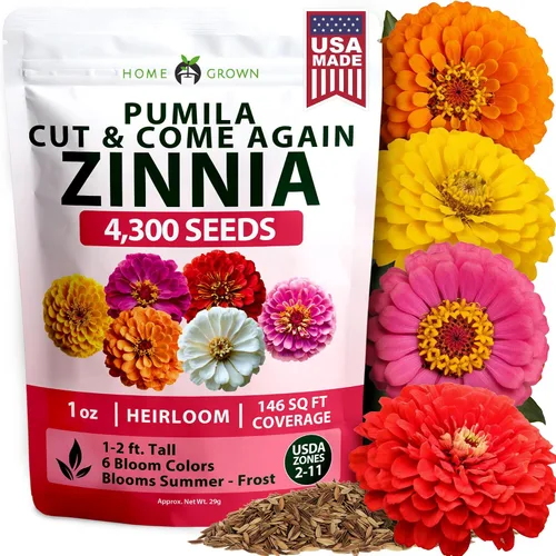 Vista 80 de HOME GROWN Semillas de zinnia rosa – 300 zinnias Luminosa 0.5g, semillas anuales de flores fáciles de cultivar para plantar al aire libre para 2026