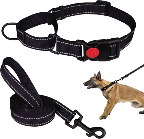 Vista 16 de Set de Collar y Correa Martingale para Perros Collares de Martingale para Perros Collar de Martingale Reflectante para Perros Pequeños, Medianos