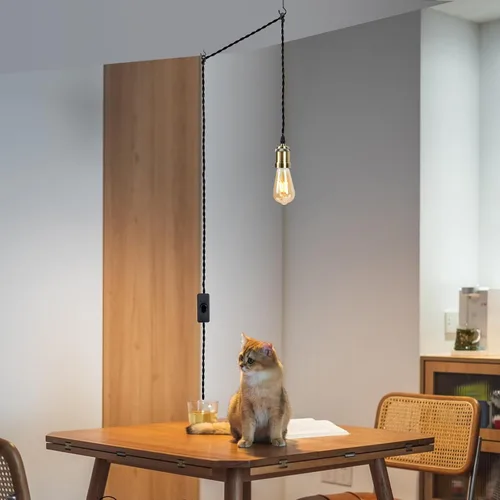 Vista 7 de Kit de luz colgante con cable enchufable con interruptor, Luces Colgantes Estilo Granja con cable de alimentación de 19.68 pies de longitud, Cable
