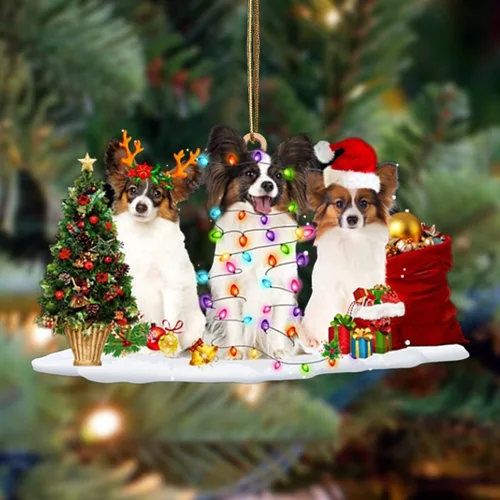 Vista 86 de Nazenti Adorno de Navidad personalizado con amigos Affenpinscher – Adorno de perro personalizado para amantes de las mascotas, acrílico plano