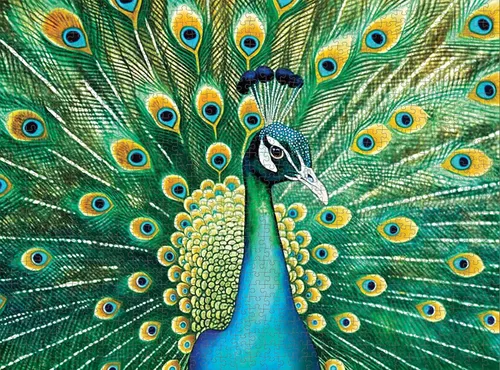 Vista 6 de Cross & Glory - Pavo real esmeralda - Rompecabezas de 1000 piezas para adultos Obras de arte coloridas de animales 20 x 27 pulgadas Acabado