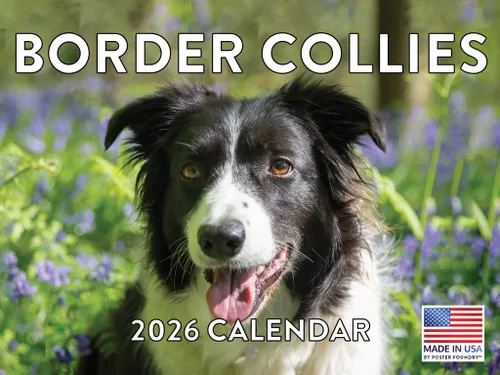 Vista 53 de Calendario mensual de pared Airedale Terrier Dog 2027 rojo (Airedale Terrier)
