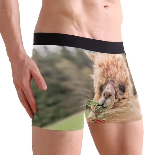 Vista 4 de ZZKKO Skull Llama - Calzoncillos tipo bóxer para hombre, transpirables, elásticos, con bolsa, tallas S-XXL