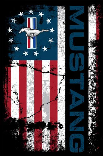 Vista 5 de JH DESIGN GROUP Sudadera con capucha Ford Mustang con bandera de Estados Unidos envejecida para hombre