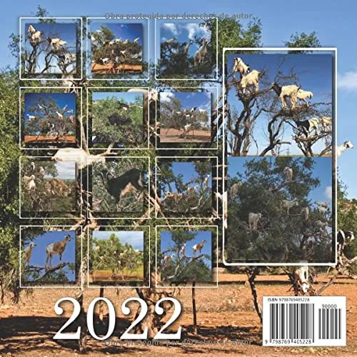Vista 2 de Cabras En Los Árboles Calendario 2022 Calendario 12 meses 2022 - 8.5 x 8.5 in cuando está cerrado y 8.5 x 17.0 in abierto - Organización
