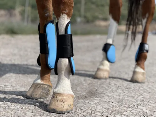 Vista 6 de Ride Now Juego de 4 botas de tendón de caballo con frente abierto/Fetlock para caballo