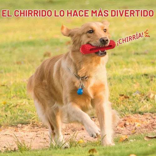 Vista 3 de Petizer - Juguete chirriante para perros masticadores agresivos, cepillo de dientes resistente, juguete dental para masticar, juguete de goma