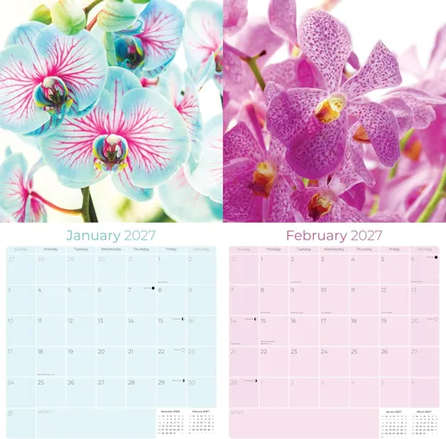 Vista 649 de Calendario de grises africanos 2025 2026 – Planificador mensual de pared de aves africanas – 12 x 18 pulgadas (abierto), calendario de pared