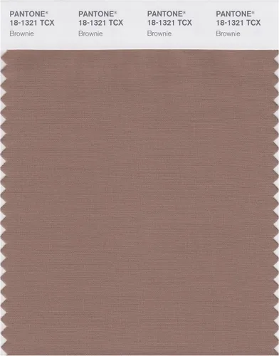 Vista 15 de PANTONE Tarjeta de muestra de color inteligente 18-1314X, bellota