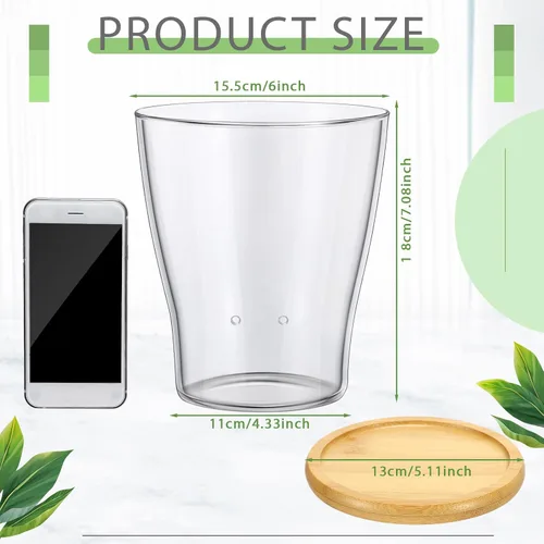 Vista 2 de Macetas de orquídea de vidrio con agujeros y bandeja de bambú con control de nivel de agua Maceta de vidrio transparente semi hidropónica con raíces