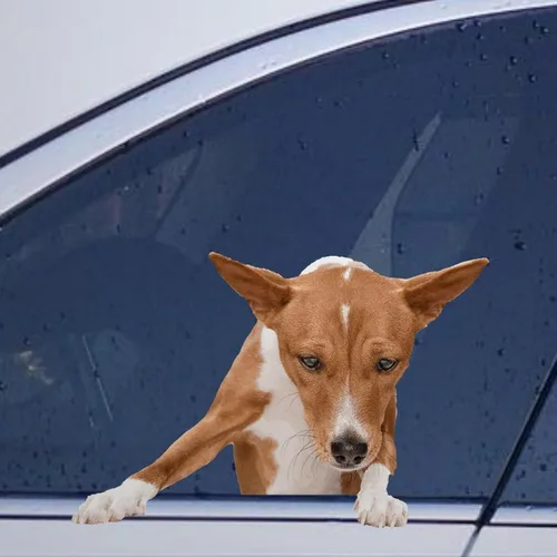 Vista 33 de Calcomanías de perro caniche, divertidas calcomanías de vinilo troqueladas para automóvil, laptop, parachoques Estilo-37