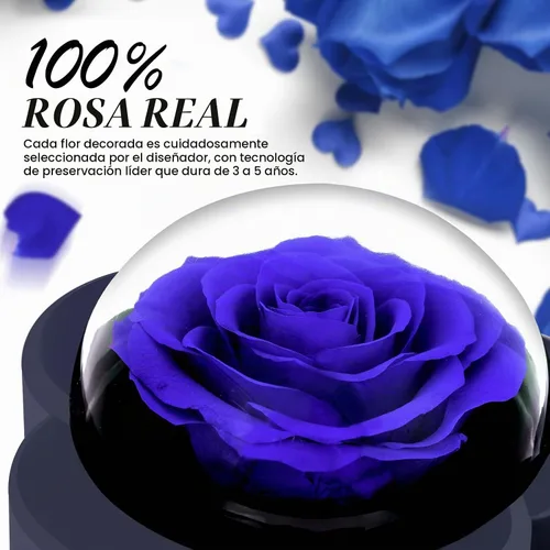 Vista 2 de Rosa preservada con collar de corazón, regalo de flor eterna para mamá, esposa, novia, mujer, perfecto para el día de San Valentín, cumpleaños, Azul