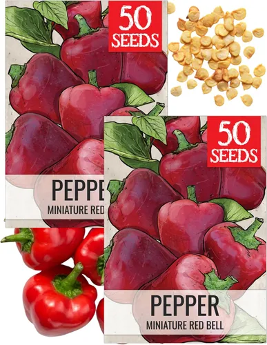 Vista 61 de Seed Needs - Semillas de pimiento arcoíris para plantar verduras, 1 paquete