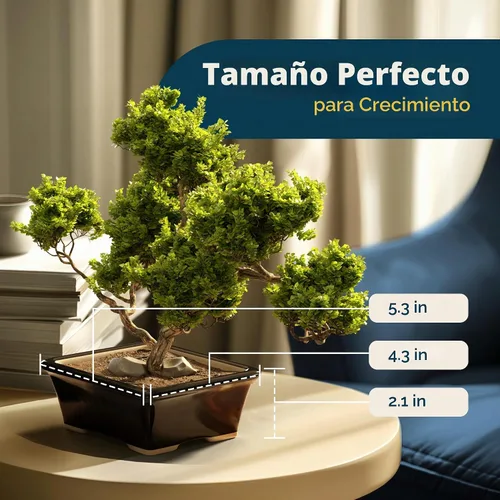 Vista 4 de Maceta para bonsái de cerámica esmaltada, maceta de cerámica para suculentas y plantas pequeñas, maceta rectangular negra perfecta para jardines