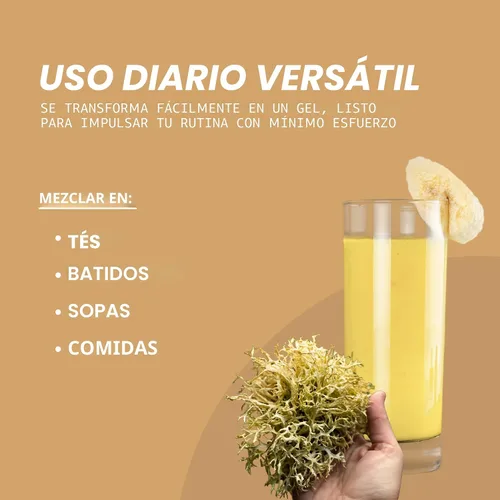 Vista 6 de Red's Kitchen Sink Musgo Marino – Recolectado silvestre de Santa Lucía 8oz Rinde ~120oz de Gel de Musgo Marino 100% Natural y Crudo Musgo