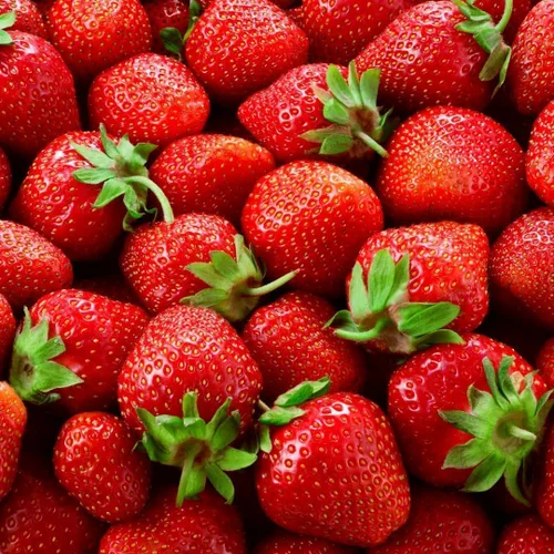 Vista 10 de Albion Everbearing Strawberry Plants - Fruta muy firme, dulce, de alto rendimiento (20 plantas) no se puede enviar a California.