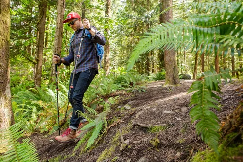 Vista 7 de Cascade Mountain Tech - Bastones de senderismo de fibra de carbono, bastones para caminar o hacer senderismo con seguros ajustables rápidos