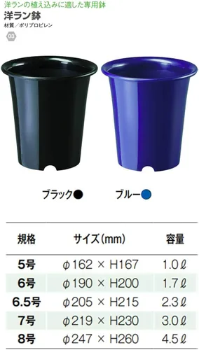Vista 2 de Yamato - Maceta de plástico para orquídeas occidentales, n.º 5, diámetro 6.4 x 6.6 pulgadas de alto (162 x 16 pulgadas)