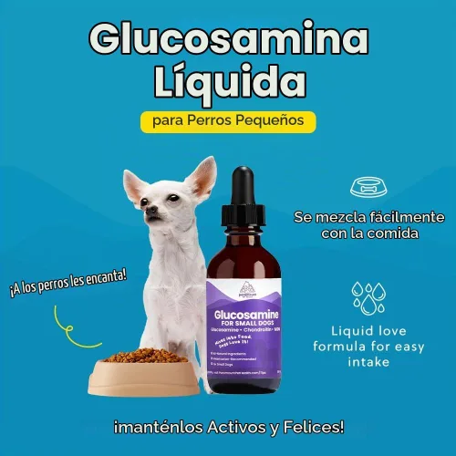 Vista 4 de Paramount Pet Health Glucosamina totalmente natural para perros – 260 mg de glucosamina para perros pequeños – Suplemento líquido