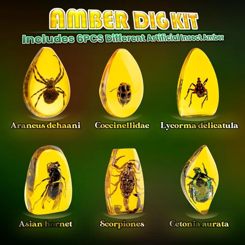 Vista 2 de Kit de Excavación de Ámbar GobiDex - Resina de Insectos Artificial, Excava 6 Especímenes de Insectos, Juguetes Educativos de Bichos STEM, Juguetes