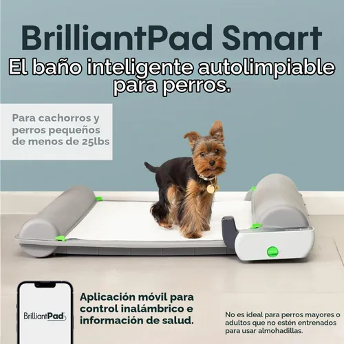 Vista 5 de BrilliantPad Orinal inteligente autolimpiante para perros