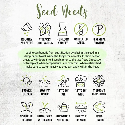 Vista 8 de Seed Needs Semillas silvestres perennes de altramuces para plantar reliquias y flores polinizadas abiertas, flores atractivas perfectas para un