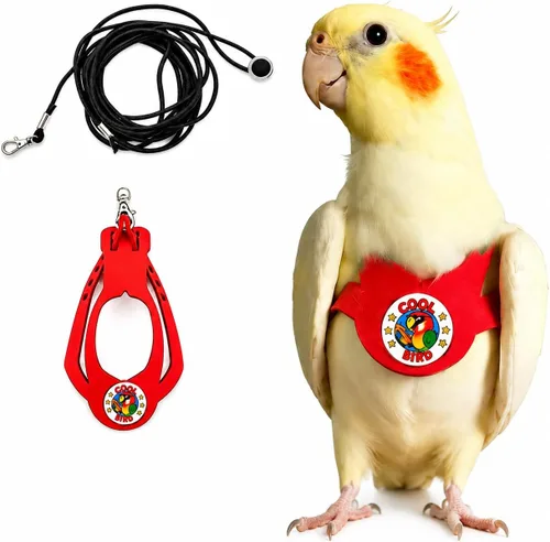 Vista 20 de Juego de arnés ajustable y correa para pájaros pequeños, apto para periquitos, conures, cacatúas, mejillas verdes, loros cuáqueros (verde, XS) 6350-6