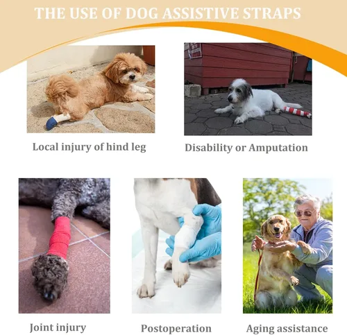 Vista 7 de Arneses tipo halter para perros, arnés de elevación ajustable para perros grandes, cabestrillo para perros medianos, soporte de pierna trasera