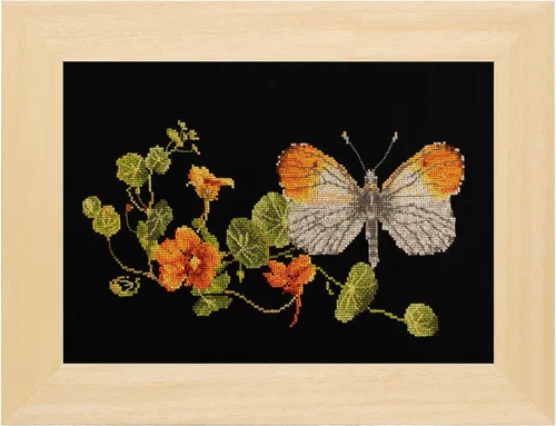 Vista 4 de Thea Gouverneur - Kit de punto de cruz con diseño de mariposa-Budlea - Aida - 18 unidades - Kit de bordado para adultos - Hilos de bordado DMC
