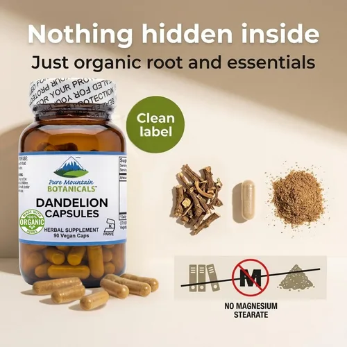 Vista 5 de Pure Mountain Botanicals Cápsulas de raíz de diente de león, suplemento orgánico de 450 mg, 90 pastillas de diente de león veganas kosher sin OMG